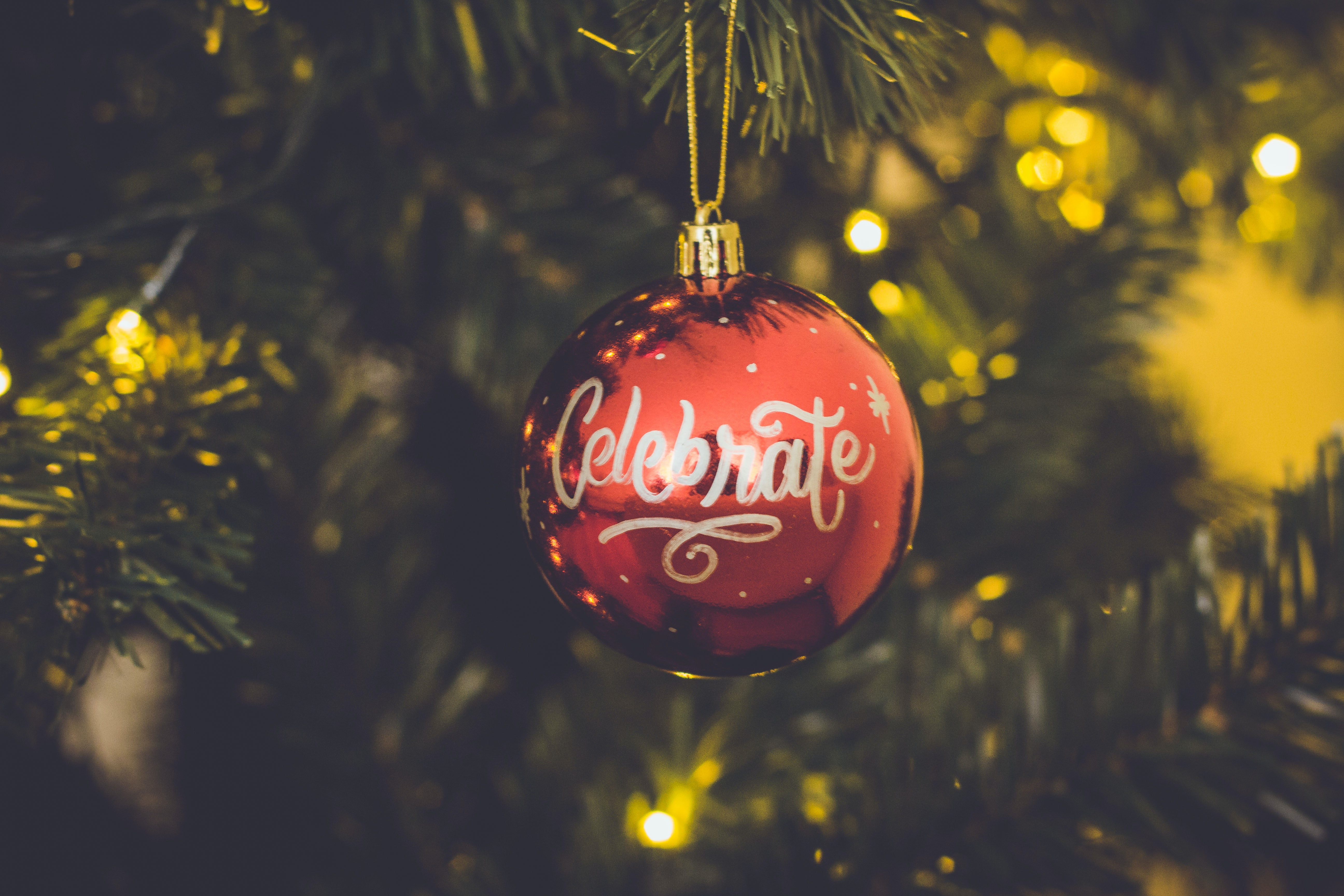 red celebrate print baubles hang on green christmas tree 714899