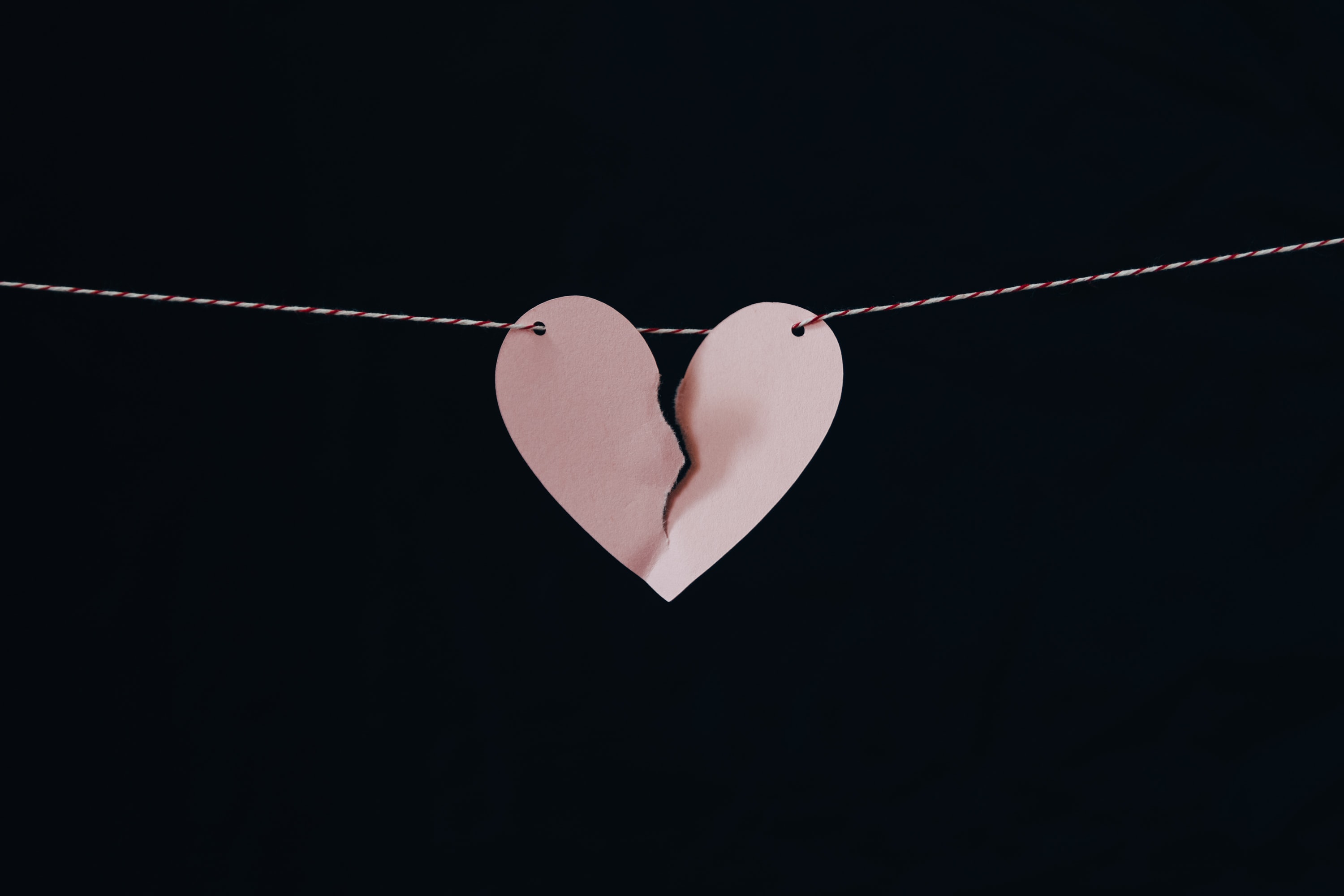 kelly sikkema E8H76nY1v6Q unsplash