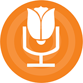 dutchbuzz