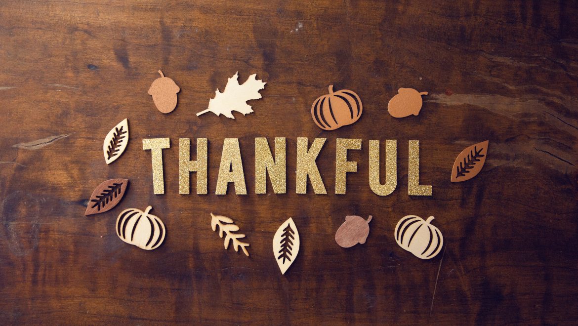 pro church media 441073 unsplash thankful