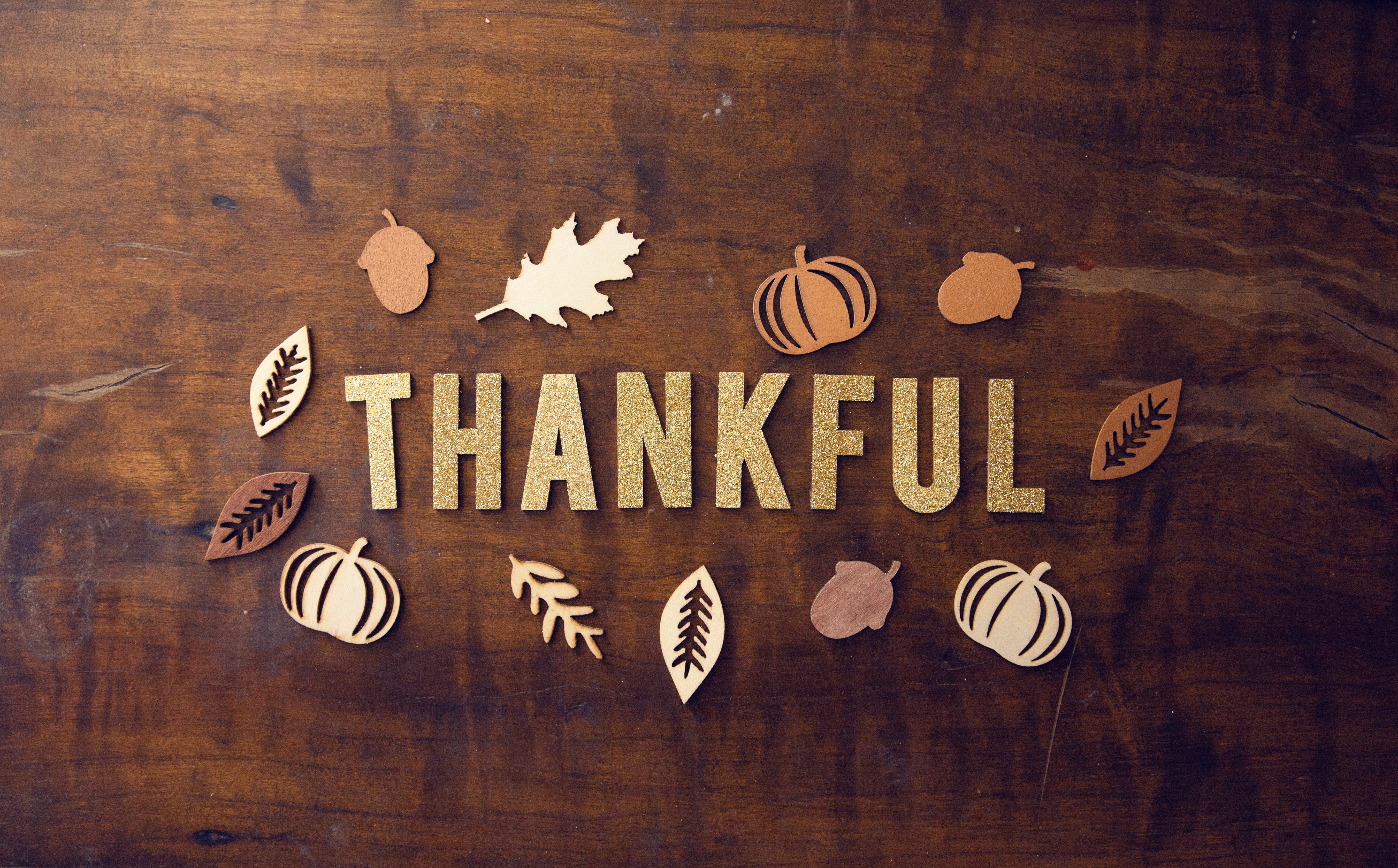 pro church media 441073 unsplash thankful
