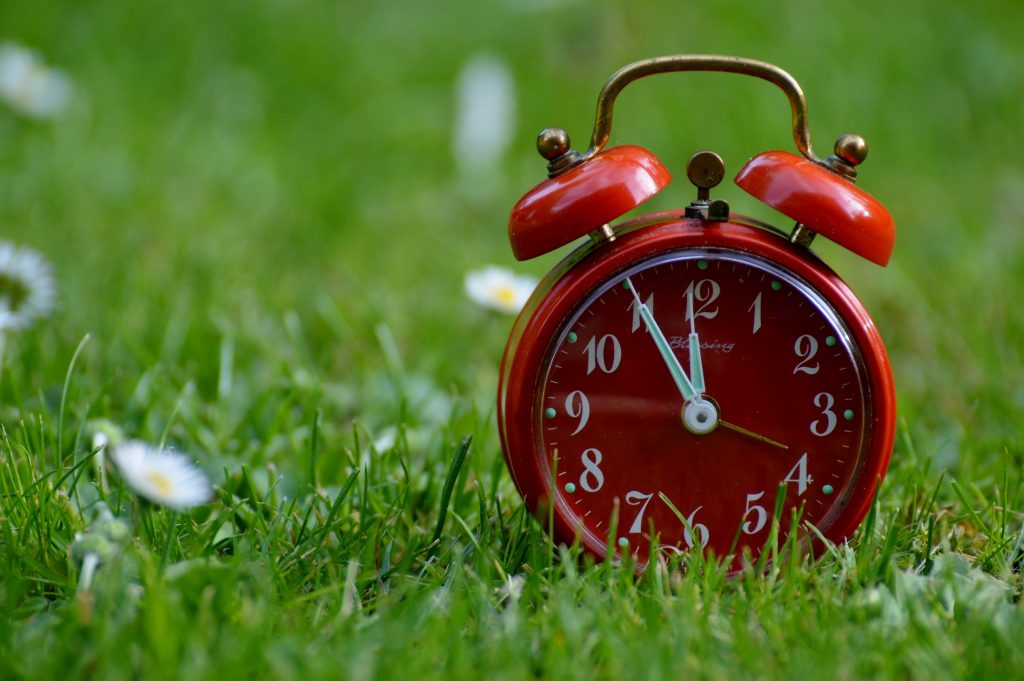 expat nest time ally or enemy