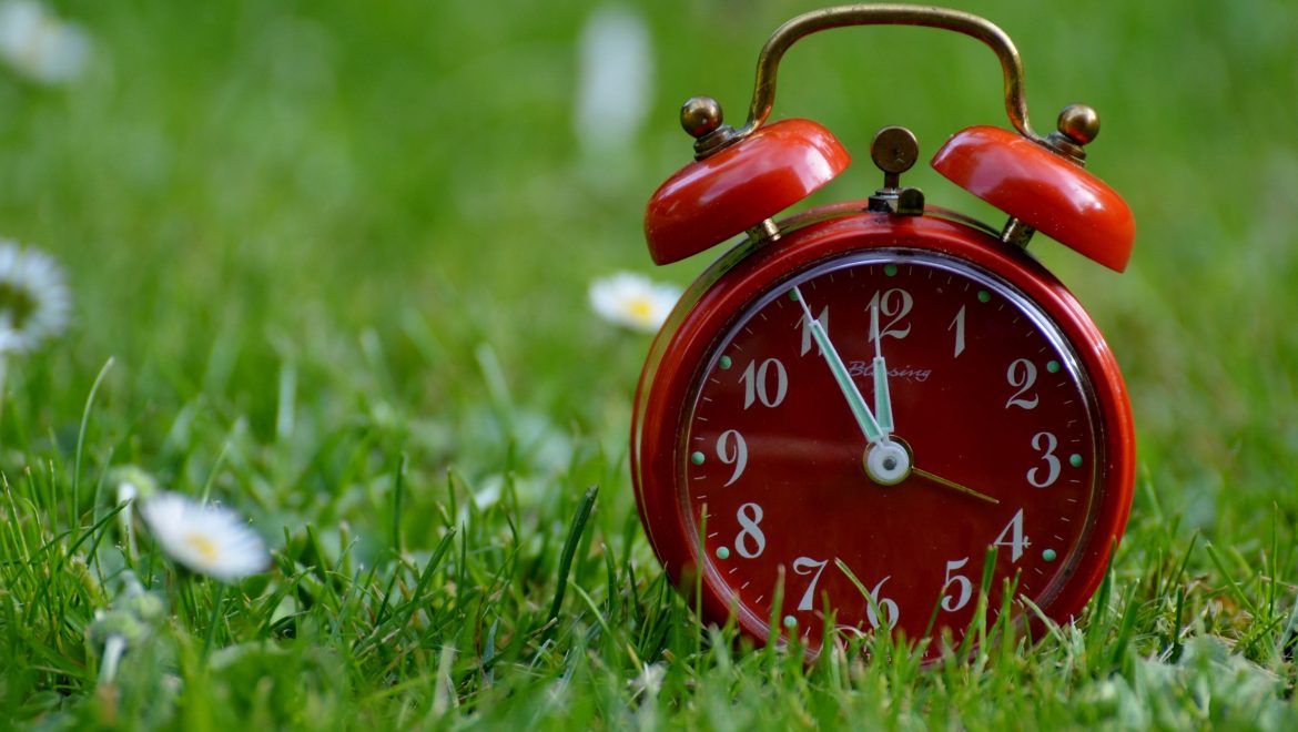 expat nest time ally or enemy