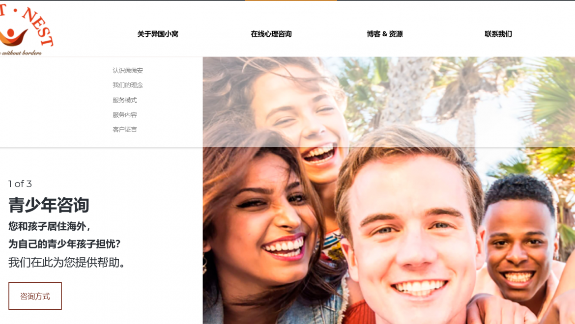 chinesewebsite
