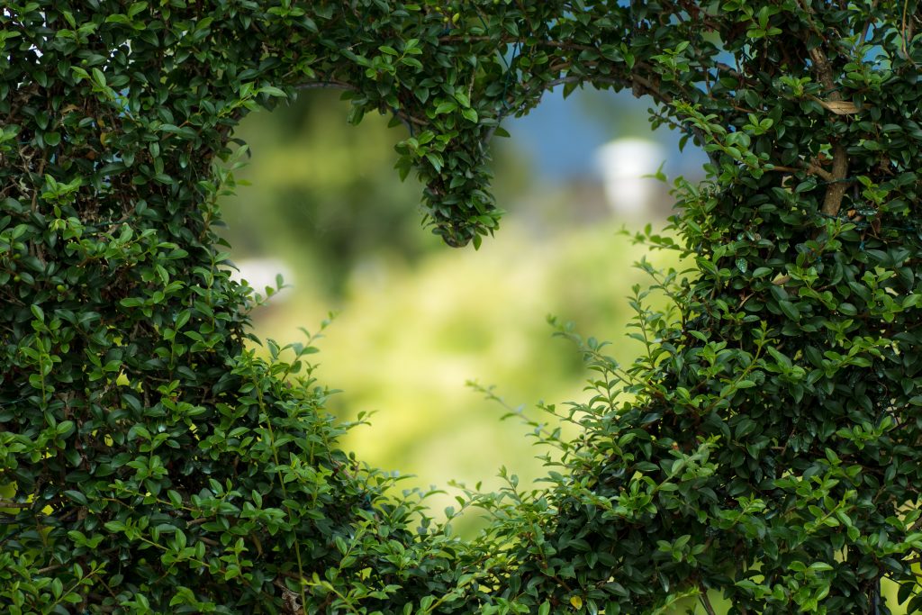 expat nest birthday greener lifestyle