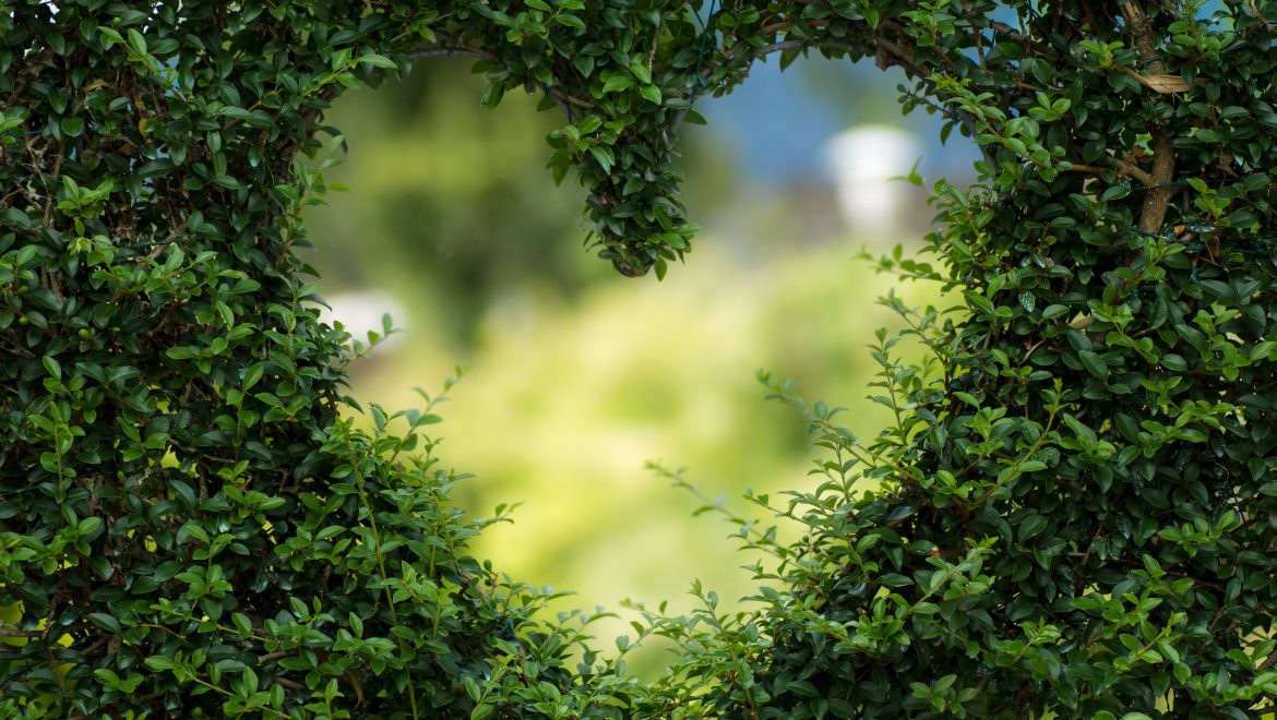 expat nest birthday greener lifestyle