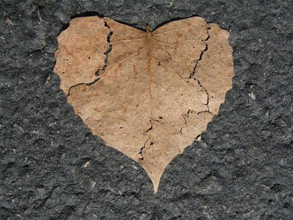 recover from a broken heart expat nest