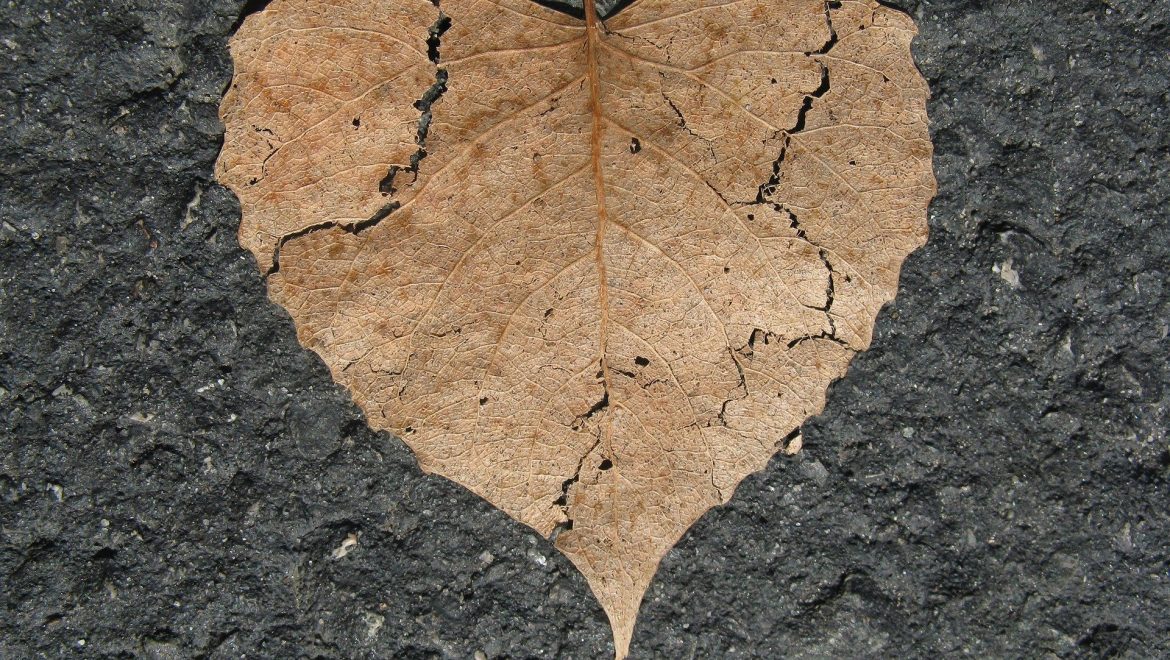 recover from a broken heart expat nest