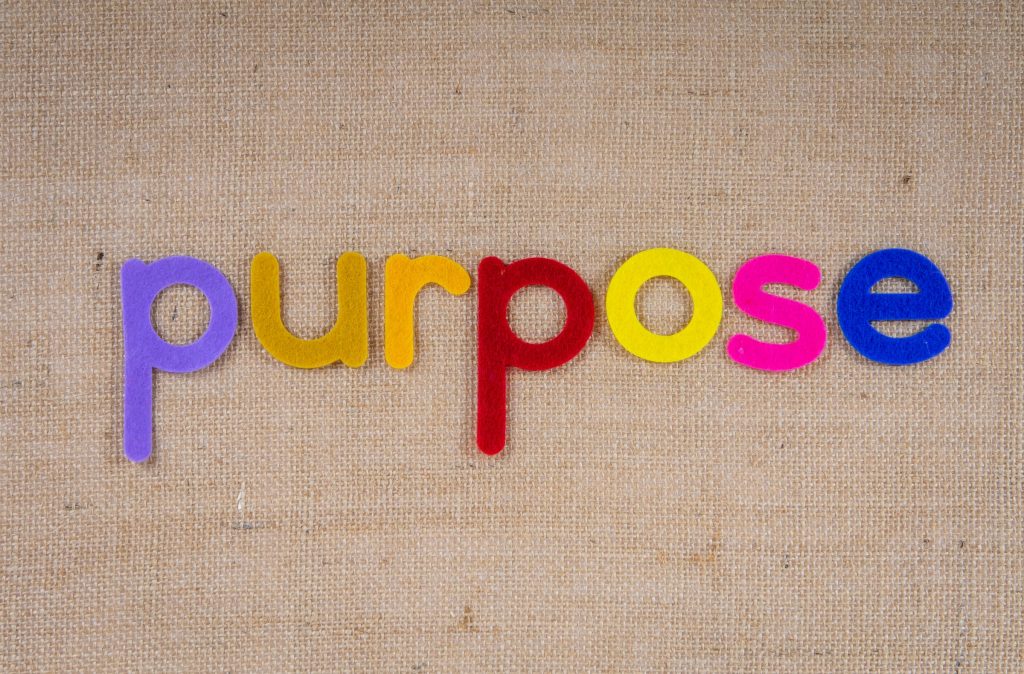 finding purpose as an expat expat nest