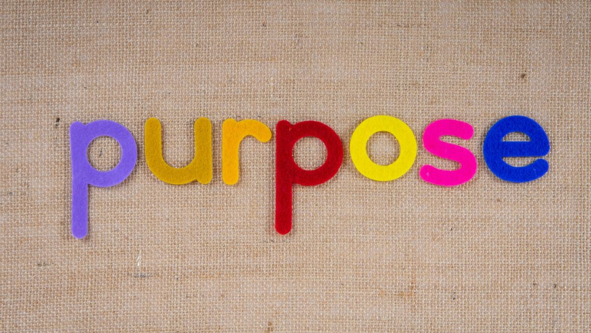 finding purpose as an expat expat nest