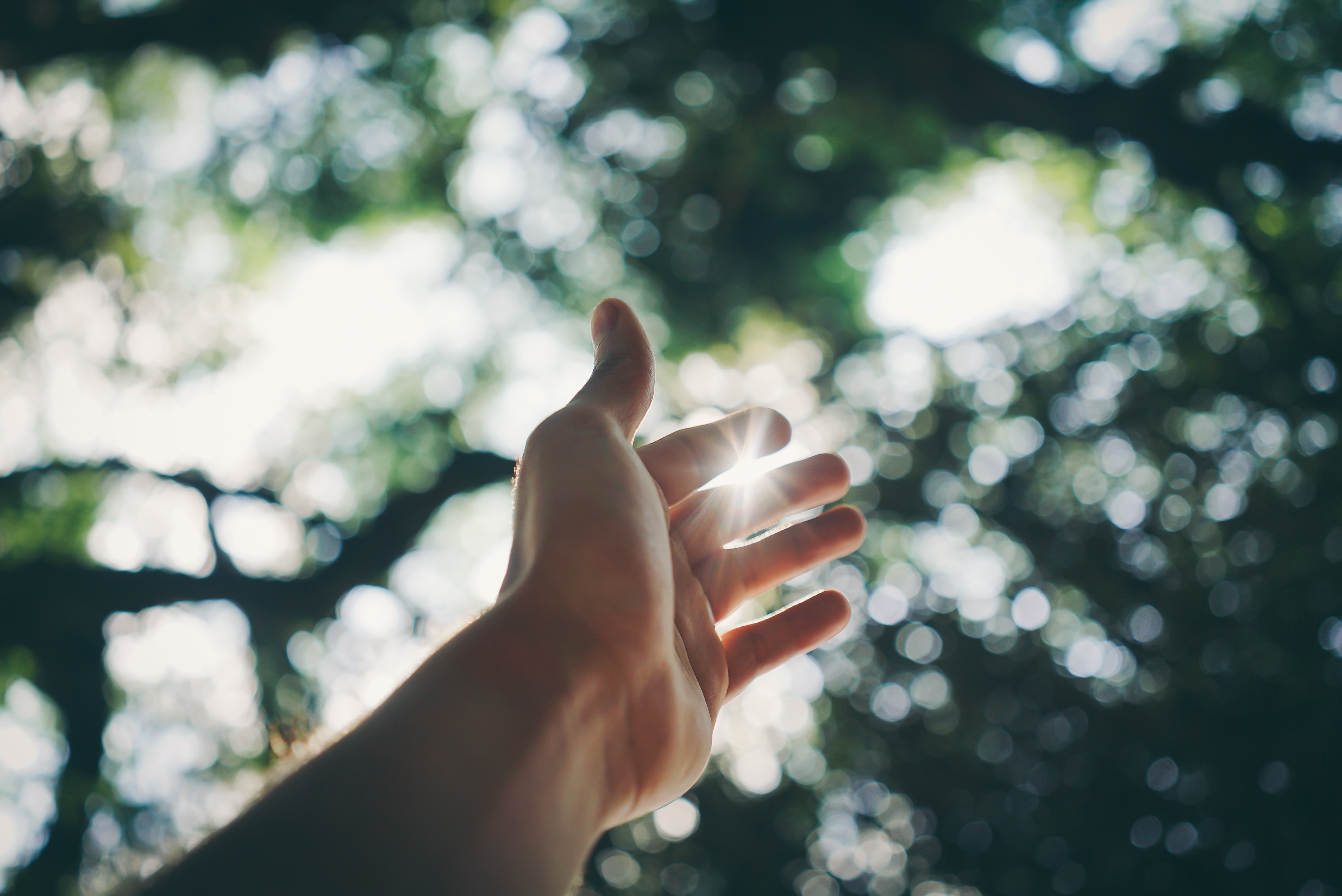 grow in challenging times expat nest pexels ricardo esquivel