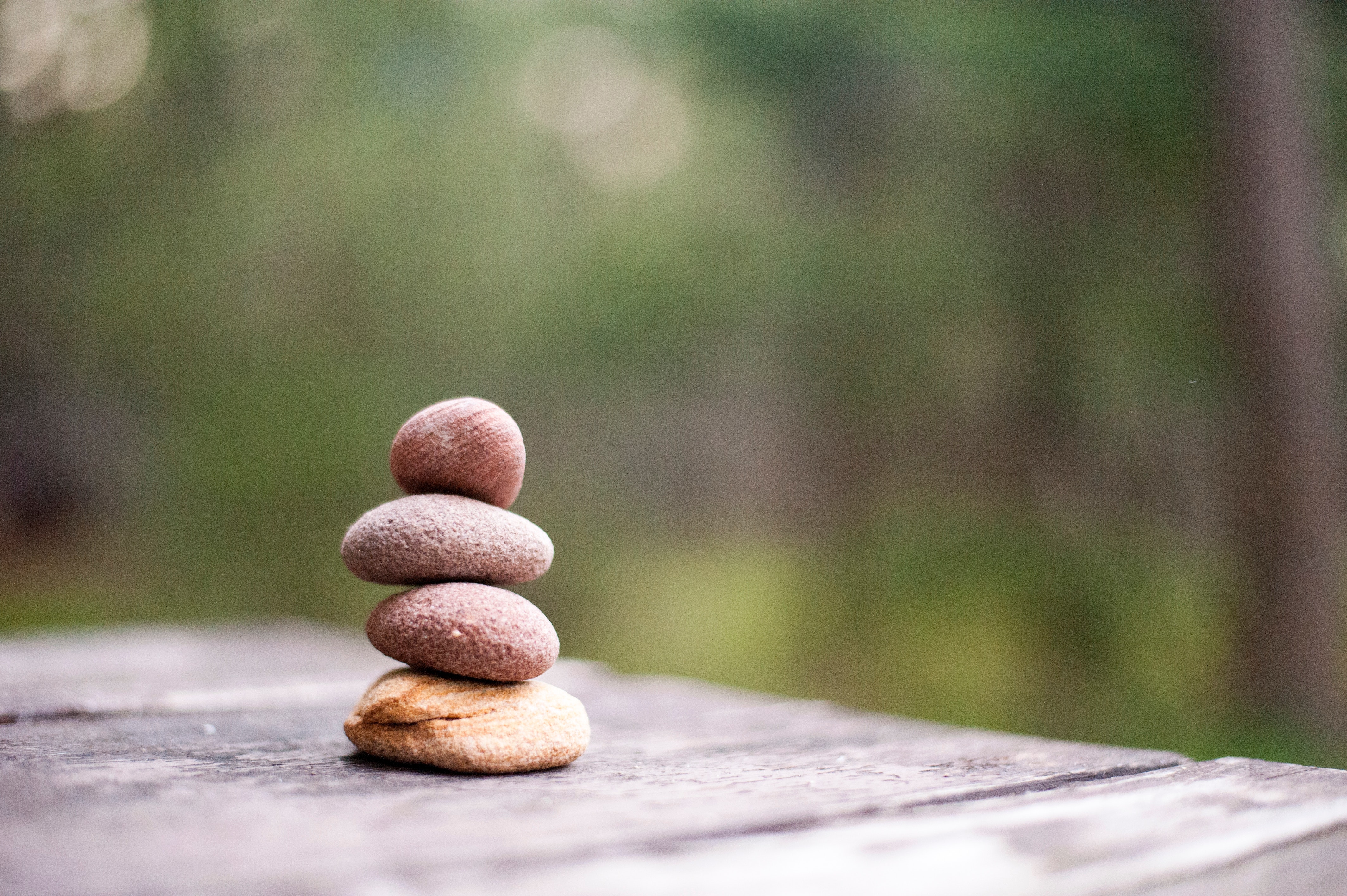 power of forgiveness expat nest