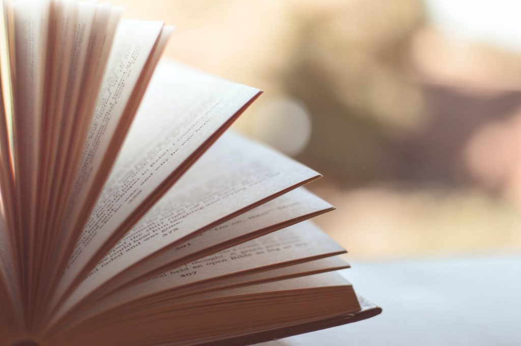 top 10 expat books 2023 expat nest pexels caio 46274