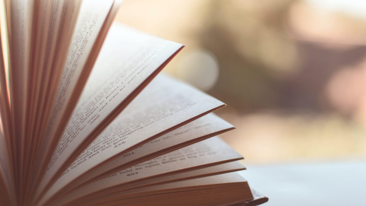 top 10 expat books 2023 expat nest pexels caio 46274