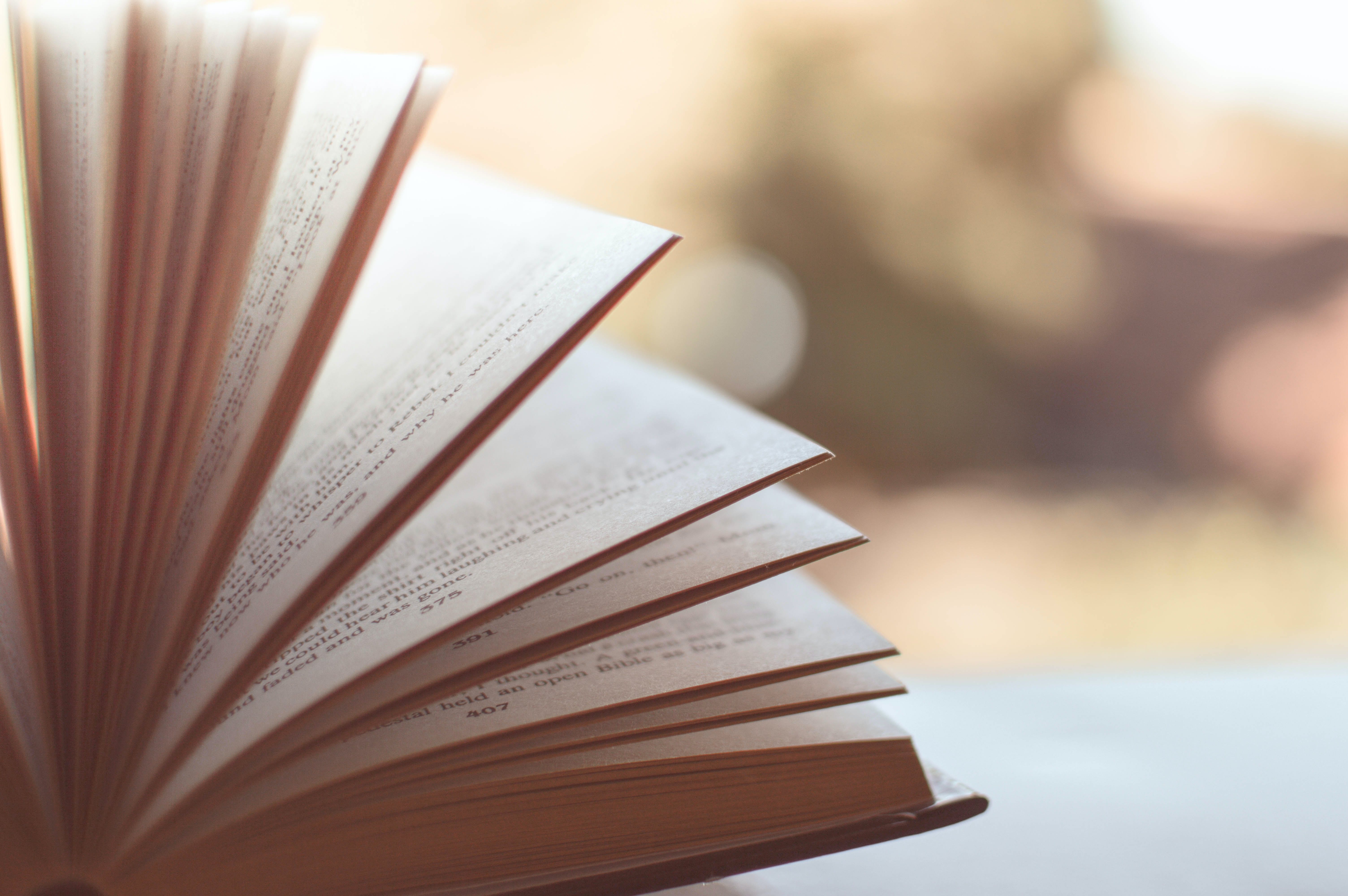 top 10 expat books 2023 expat nest pexels caio 46274