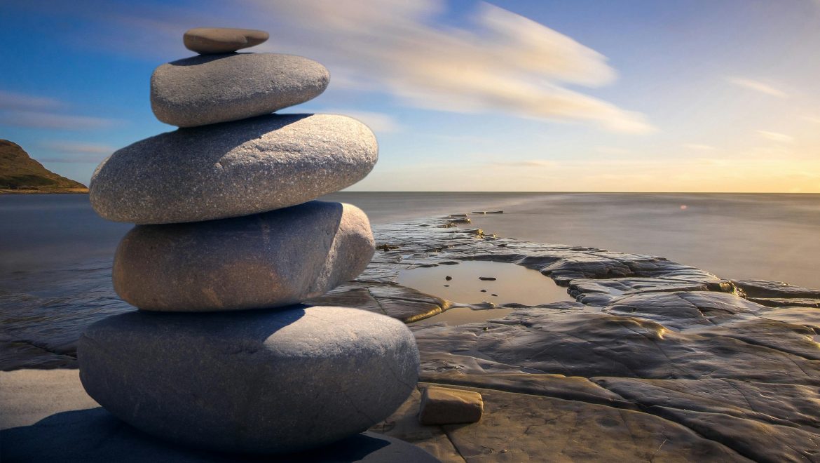 stability in busy world expat nest