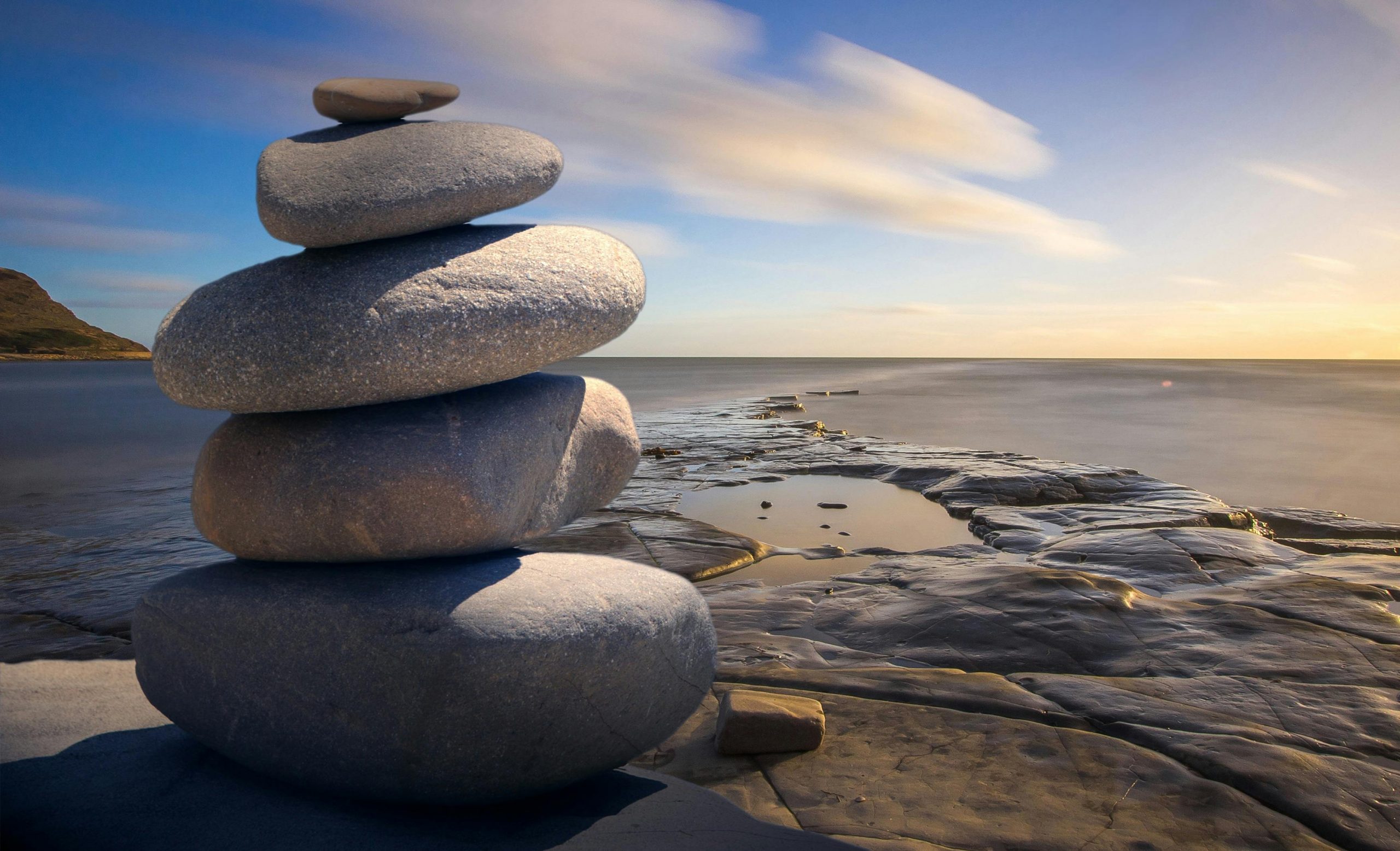 stability in busy world expat nest